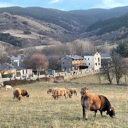 El Niu Del Pirineu * Err